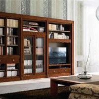 Modular storage system