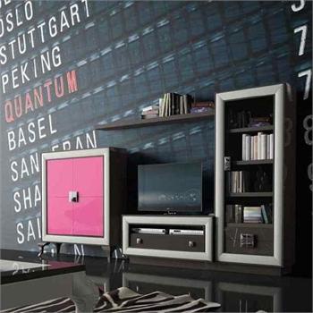 Modular storage system