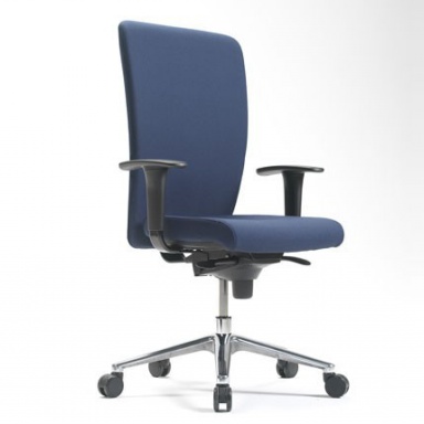 The Activa Chair