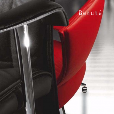 Chair Beaute