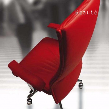 Chair Beaute