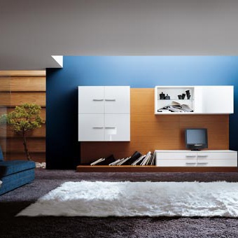 Modular storage system