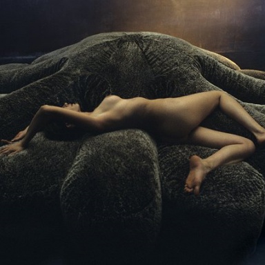 The Aster Papposus Sofa