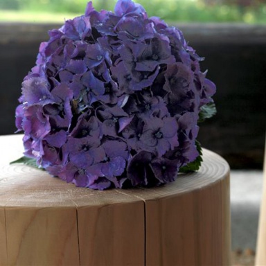 Coffee table Legno Vivo