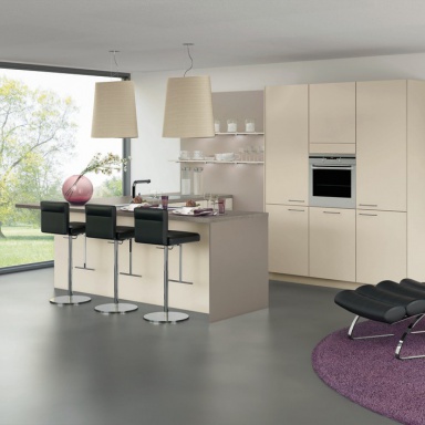 Kitchen furniture kitchen)