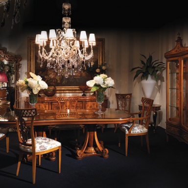 Dining room (furniture dining room)