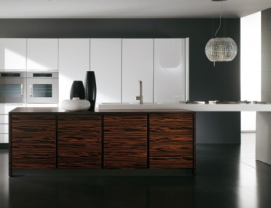 Kitchen with integrated appliances Capri, Biefbi