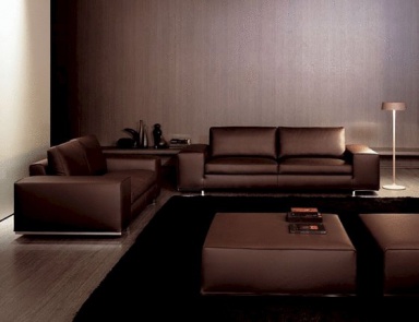 Sofa on a frame of solid wood, longsit sofa - Swan