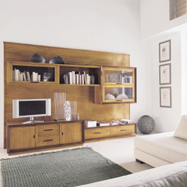 Modular system for TV Issues.