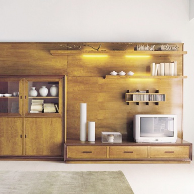 Modular system for TV Issues.