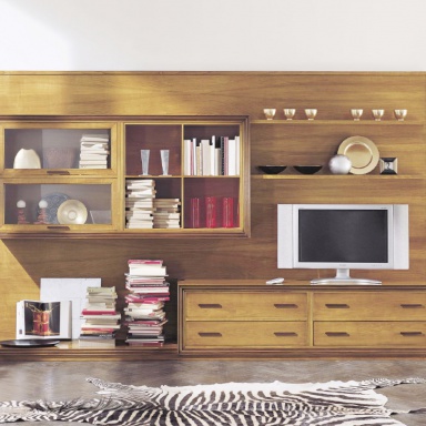 Modular system for TV Issues.