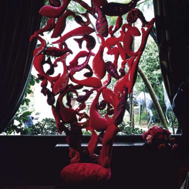 Chair Segno Dei By Pesci