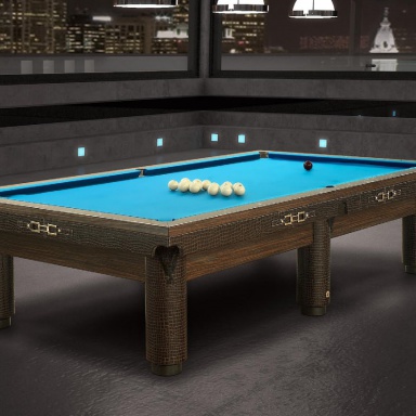 The billiard table Playing A Round