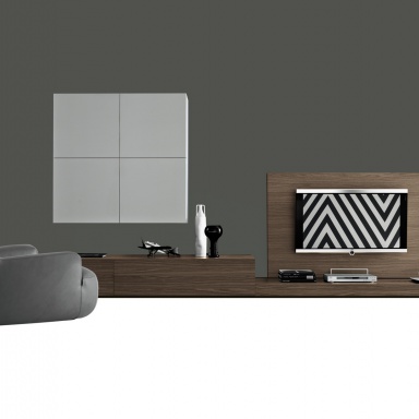 Modular storage system Sintesi