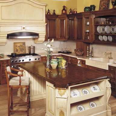 Kitchen furniture kitchen)