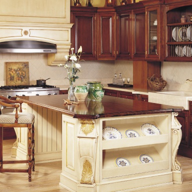 Kitchen furniture kitchen)