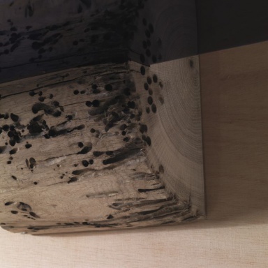 Shelf Briccole a Murano