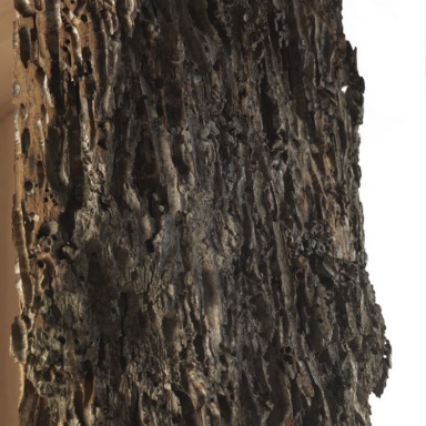 The Rack Il Briccolone