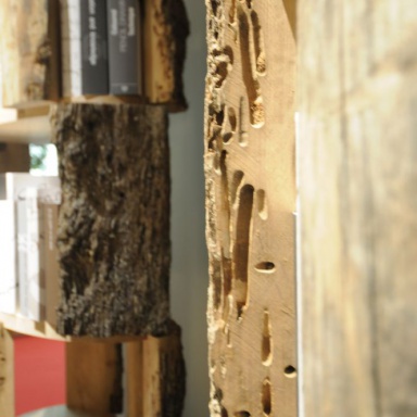 The Rack Il Briccolone