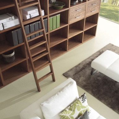 The Cabinet Is Wallstreet