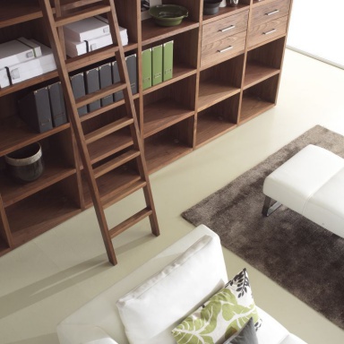 The Cabinet Is Wallstreet