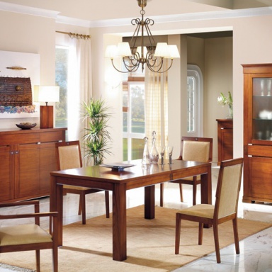 Furniture set for dining room Comedortitanic