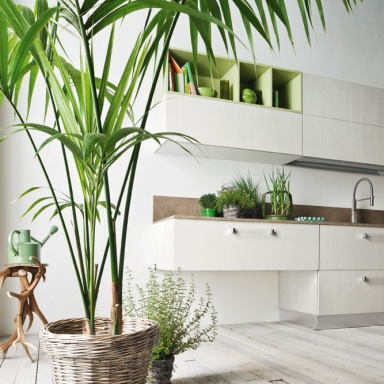 Kitchen (kitchen set) Tao comp.5