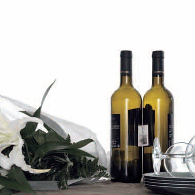 Kitchen (Suite kitchen), Terra