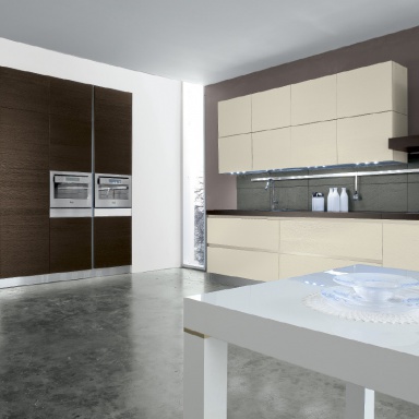 Kitchen (kitchen set) Iride comp.2