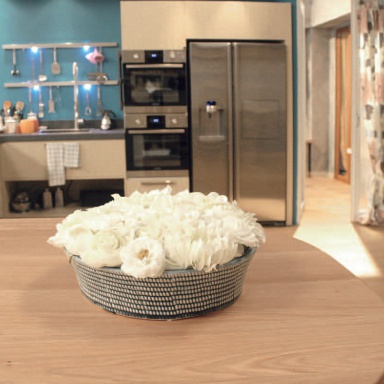 Kitchen (Suite kitchen), Terra