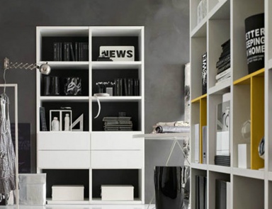 The Cabinet is Slim, ACF International