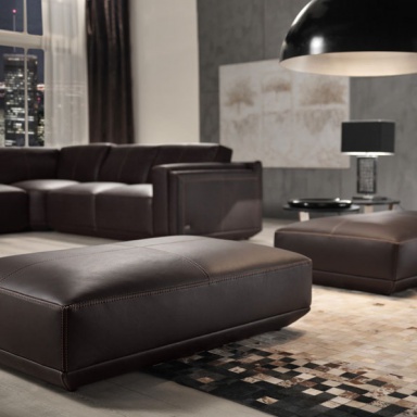 Living room (a Suite for the living room) Leonardo