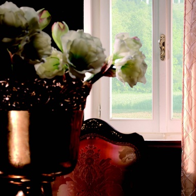 Dining room (dining set) by Luigi XXI