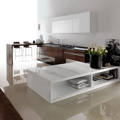 Kitchen (kitchen set) Teknica