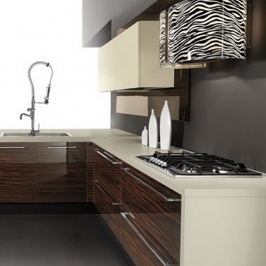 Kitchen (kitchen set) Teknica