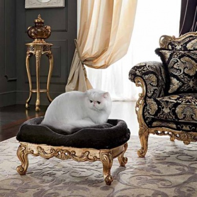 Poof for Pets Casanova