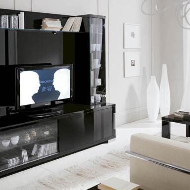 Modular system for TV Siena
